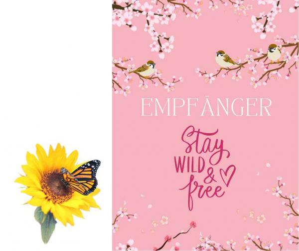 Blumensamengeschenk - Stay wild and free